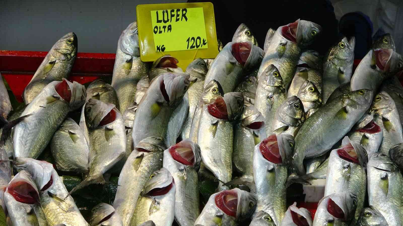 Çanakkale’de lüferin fiyatı arttı