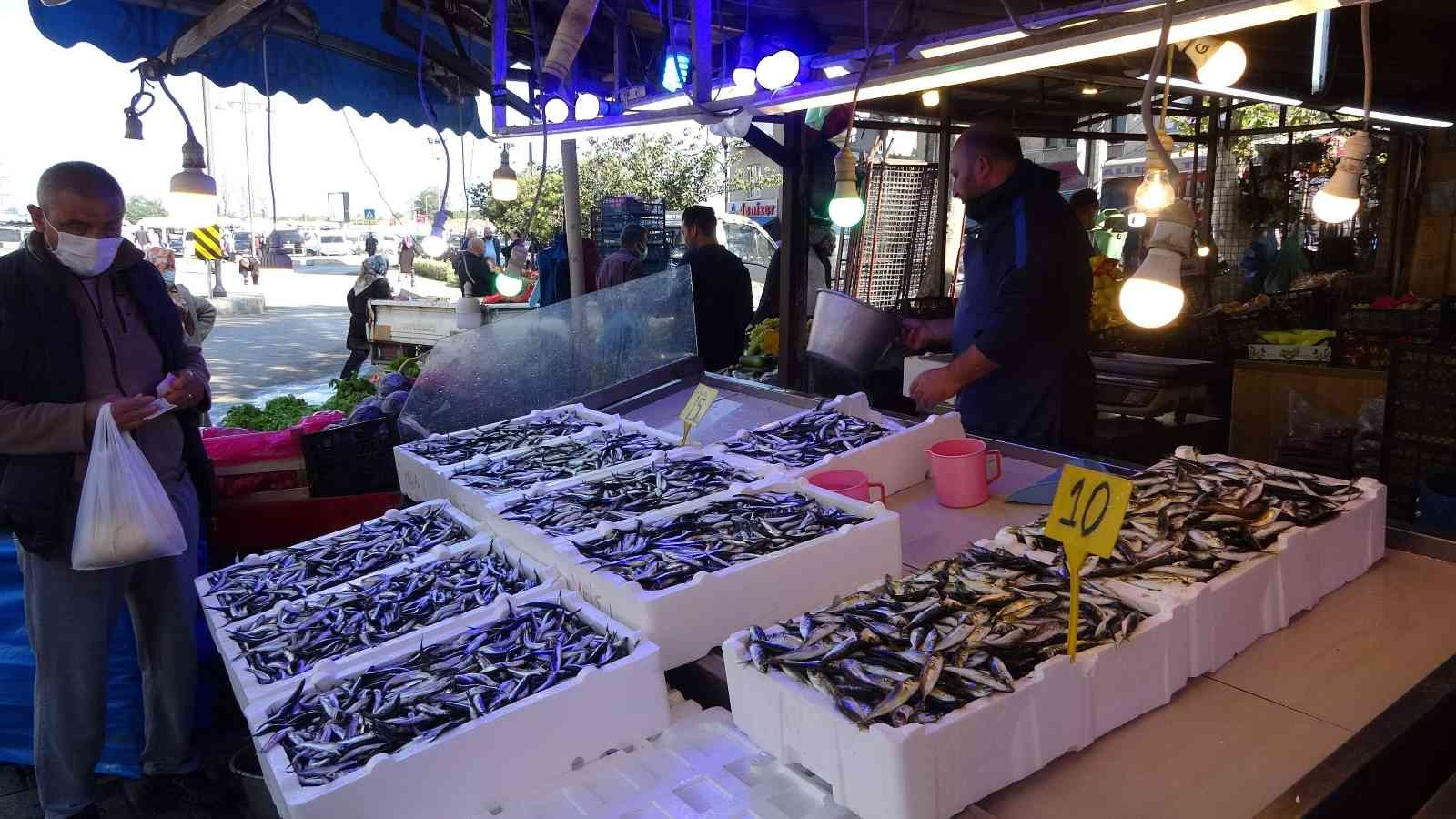 Karadeniz’de istavritten sonra hamsi bereketi