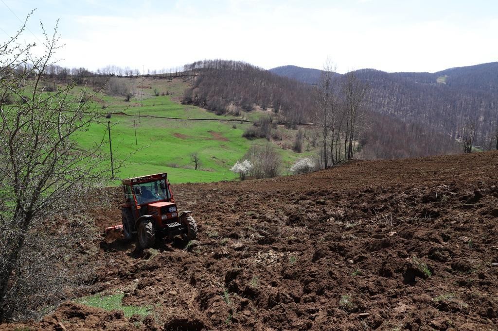 Ordu’da atıl araziler çiftçilere cansuyu oldu