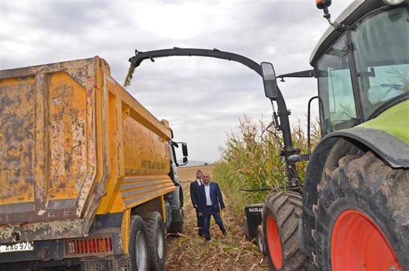 Batman’da devlet desteğiyle ekilen silajlık mısırın hasadına başlandı