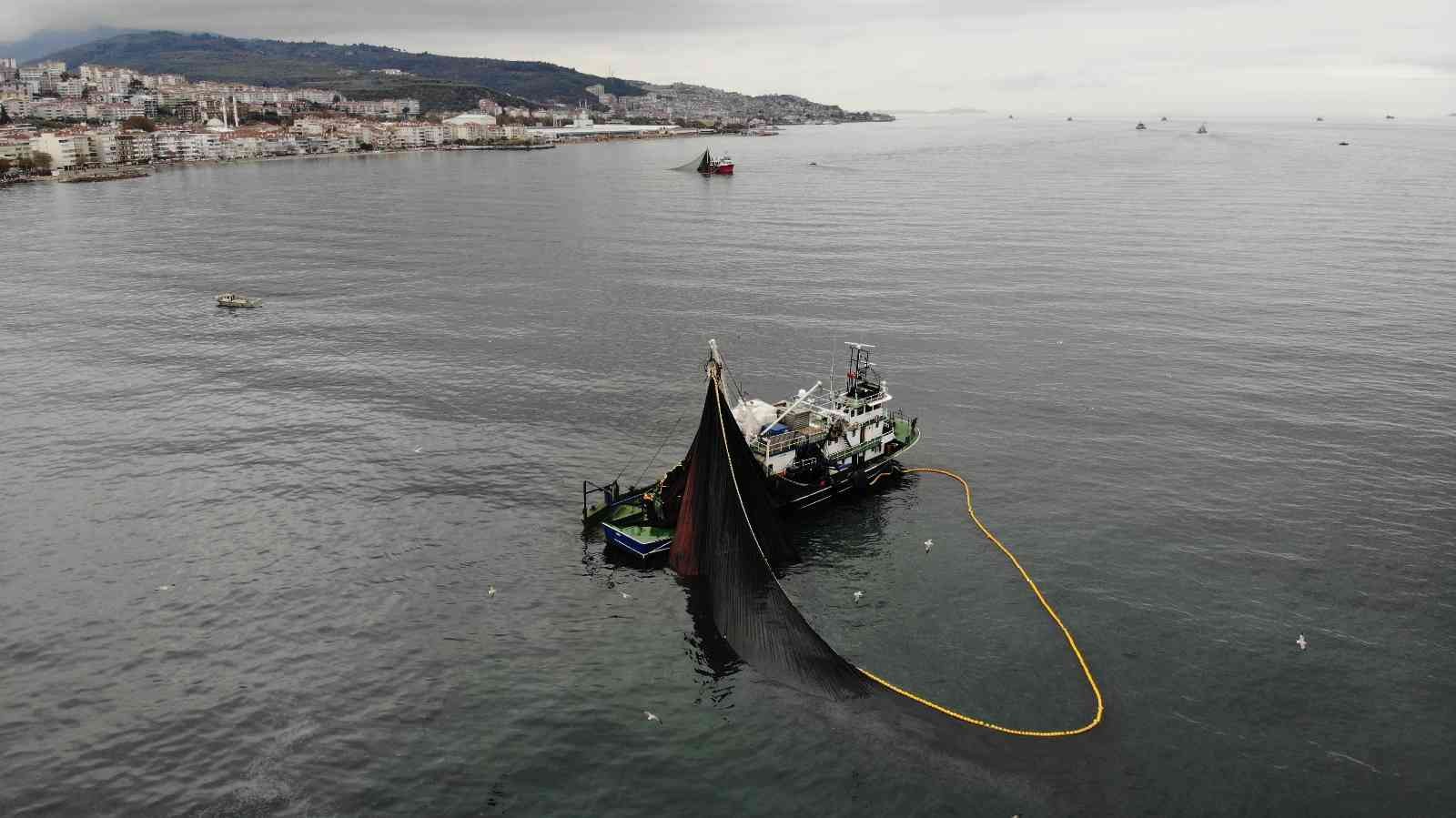 Körfeze giren 600 bin ton hamsiyi saatler içinde yakaladılar