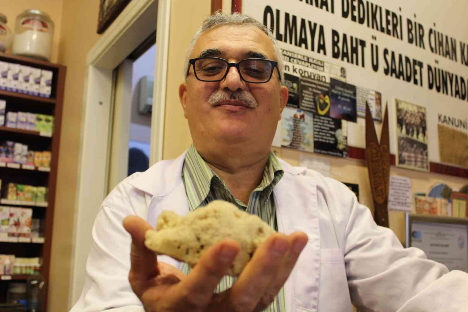 Kilosu 4 bin liraya canlı sünger