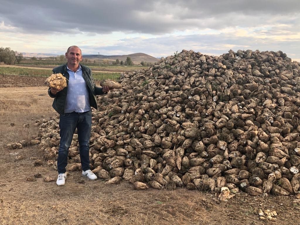 Hasat telaşı başladı: Hedef 550 bin ton pancardan 82 bin ton şeker üretimi