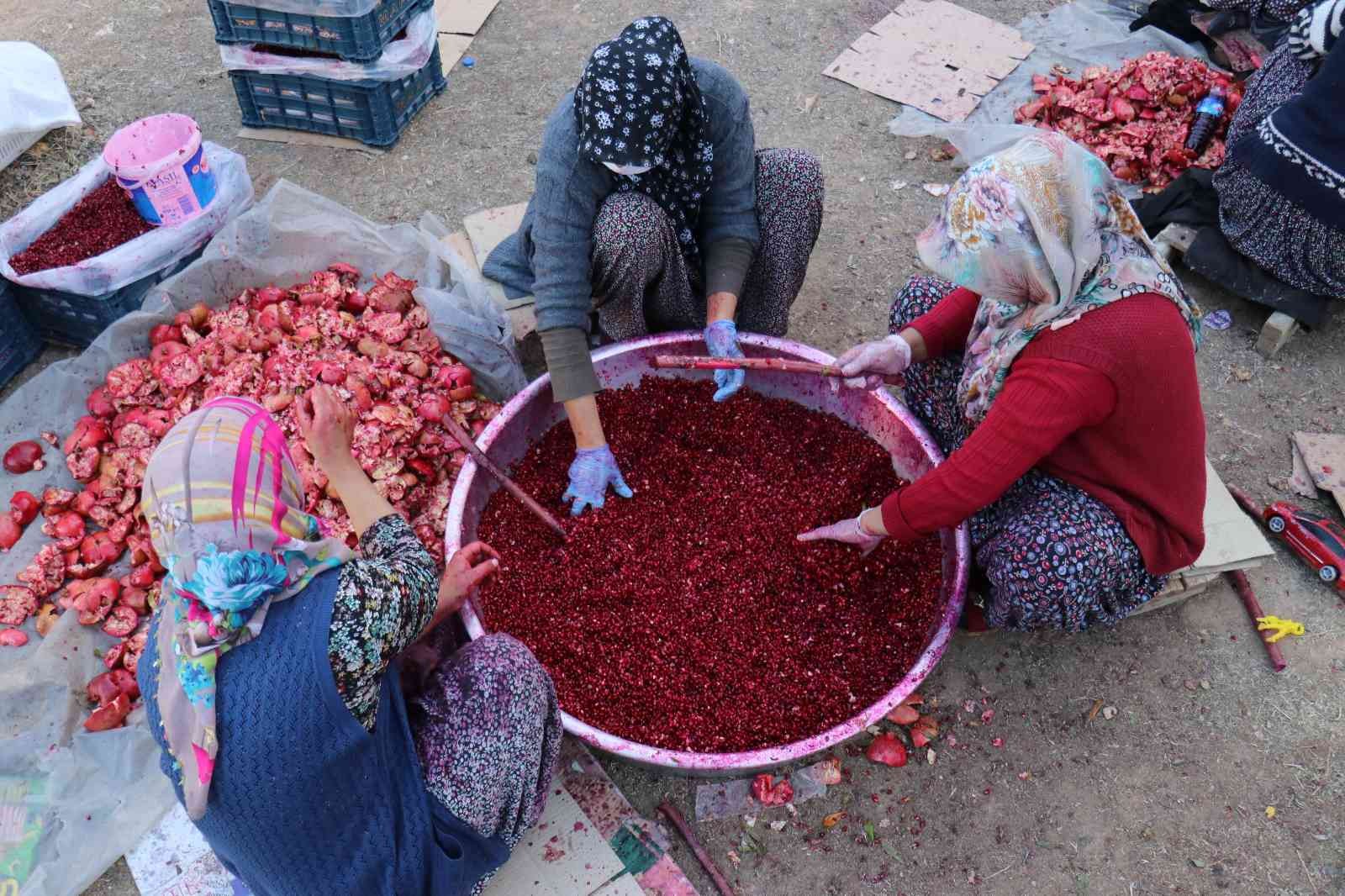 Nar ekşisi Malatyalı kadınların ek gelir kapısı oldu