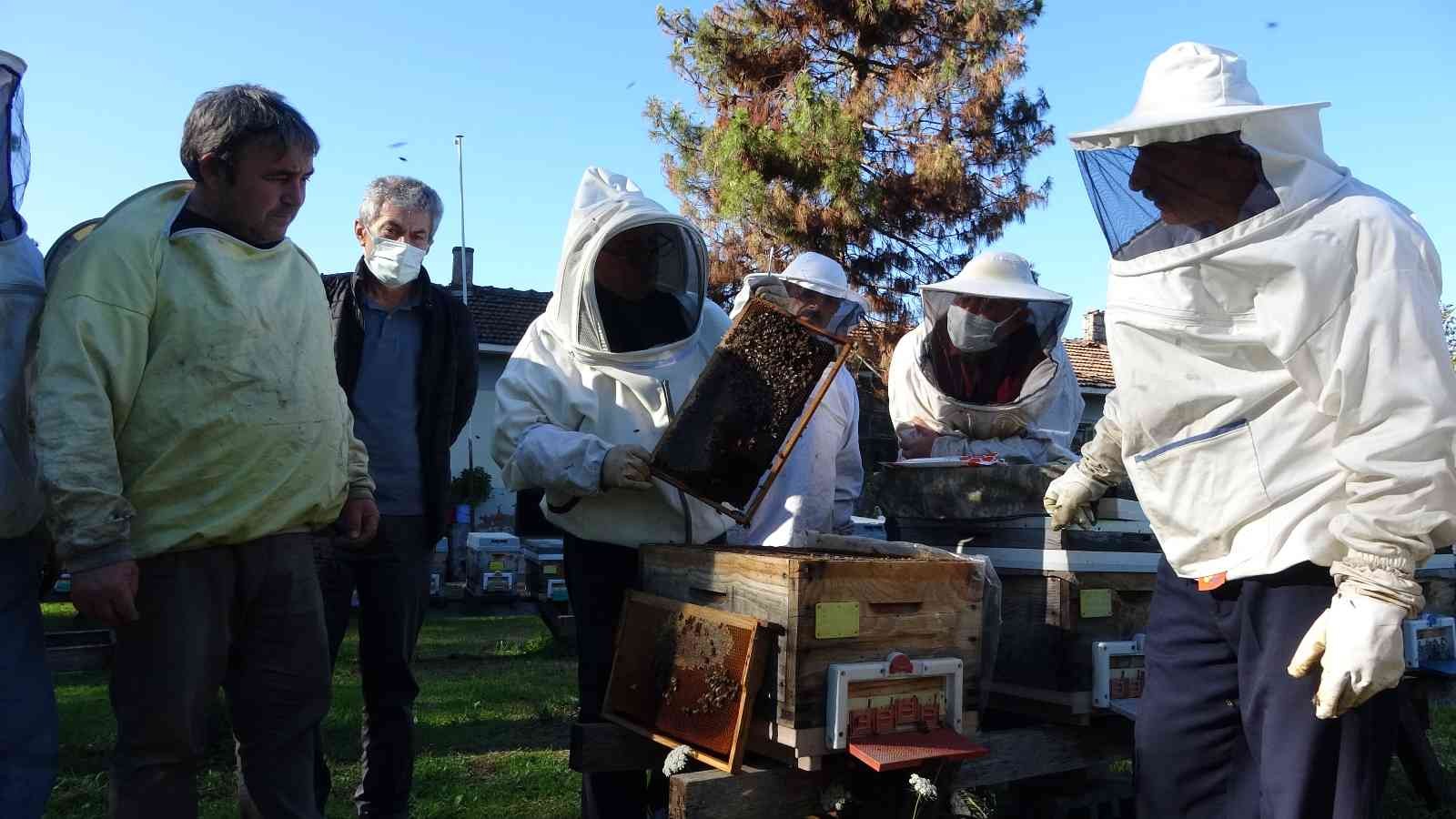 Sinop’ta hobi arıcılarına kovan başında profesyonellik eğitimi