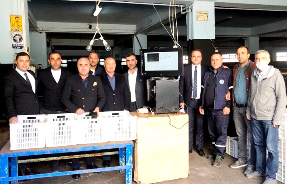 Bursa’da zeytin alımı başladı