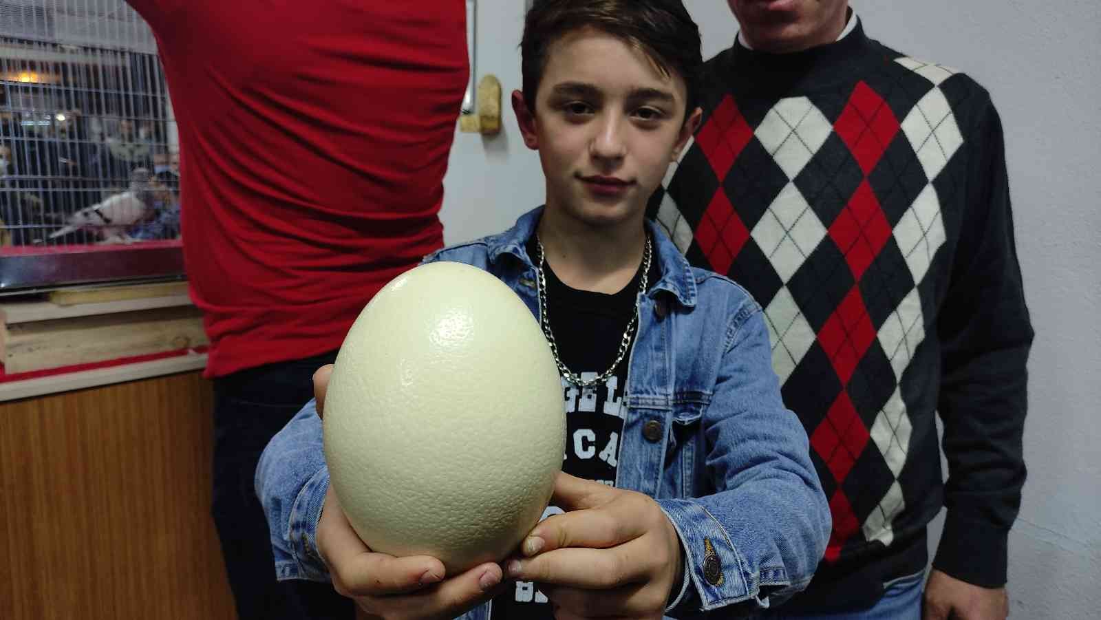 Deve kuşu yumurtası mezata çıktı almak için yarıştılar