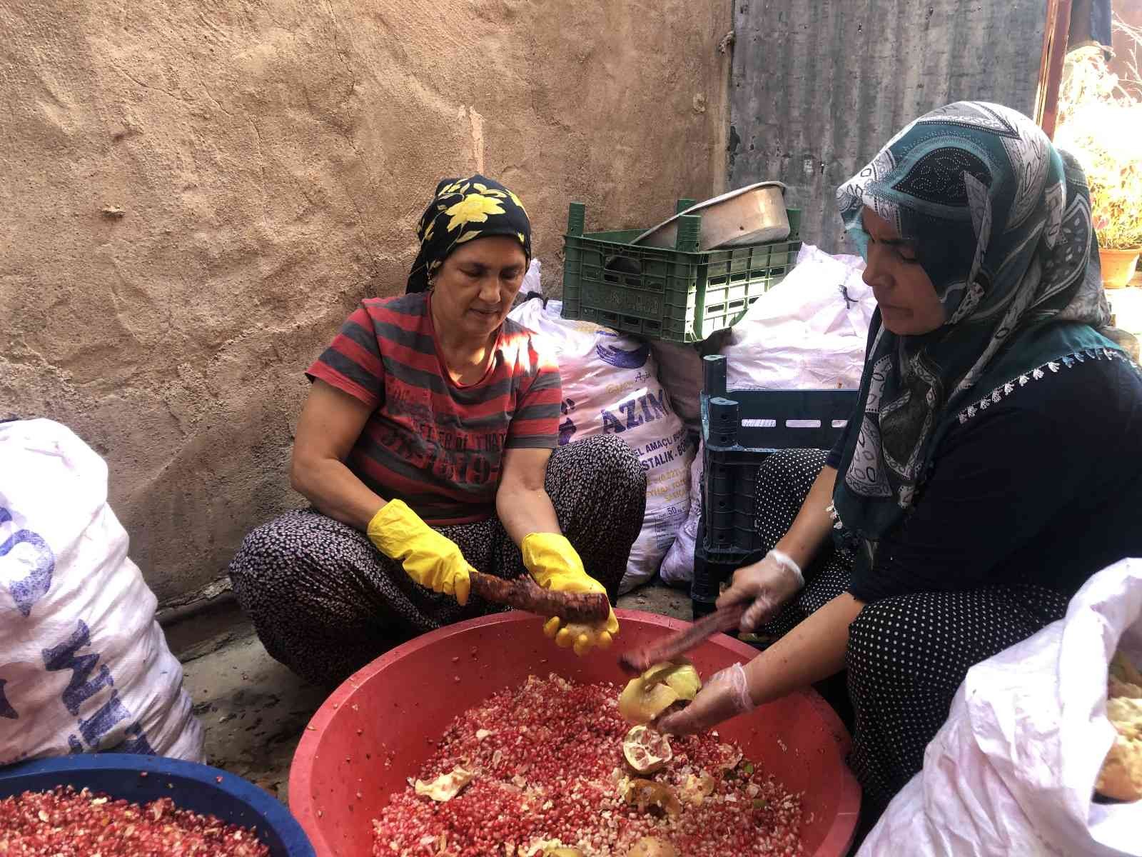 Narın ekşili şifa yolculuğu başladı