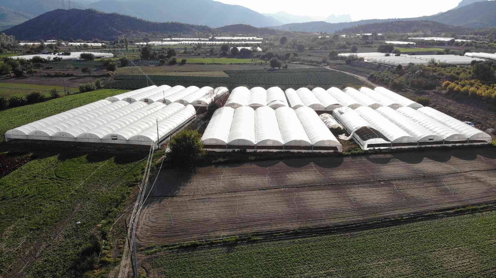(ÖZEL) Bu ilçedeki tarla ve seralar Türkiye’yi besliyor