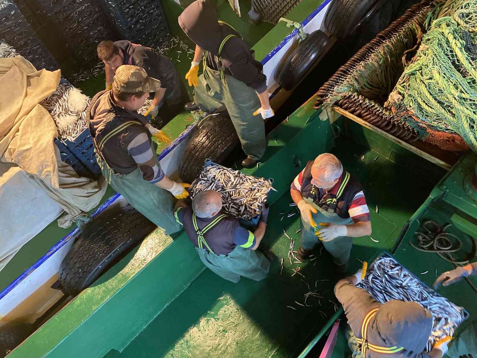 Karadeniz’de hamsi bereketi