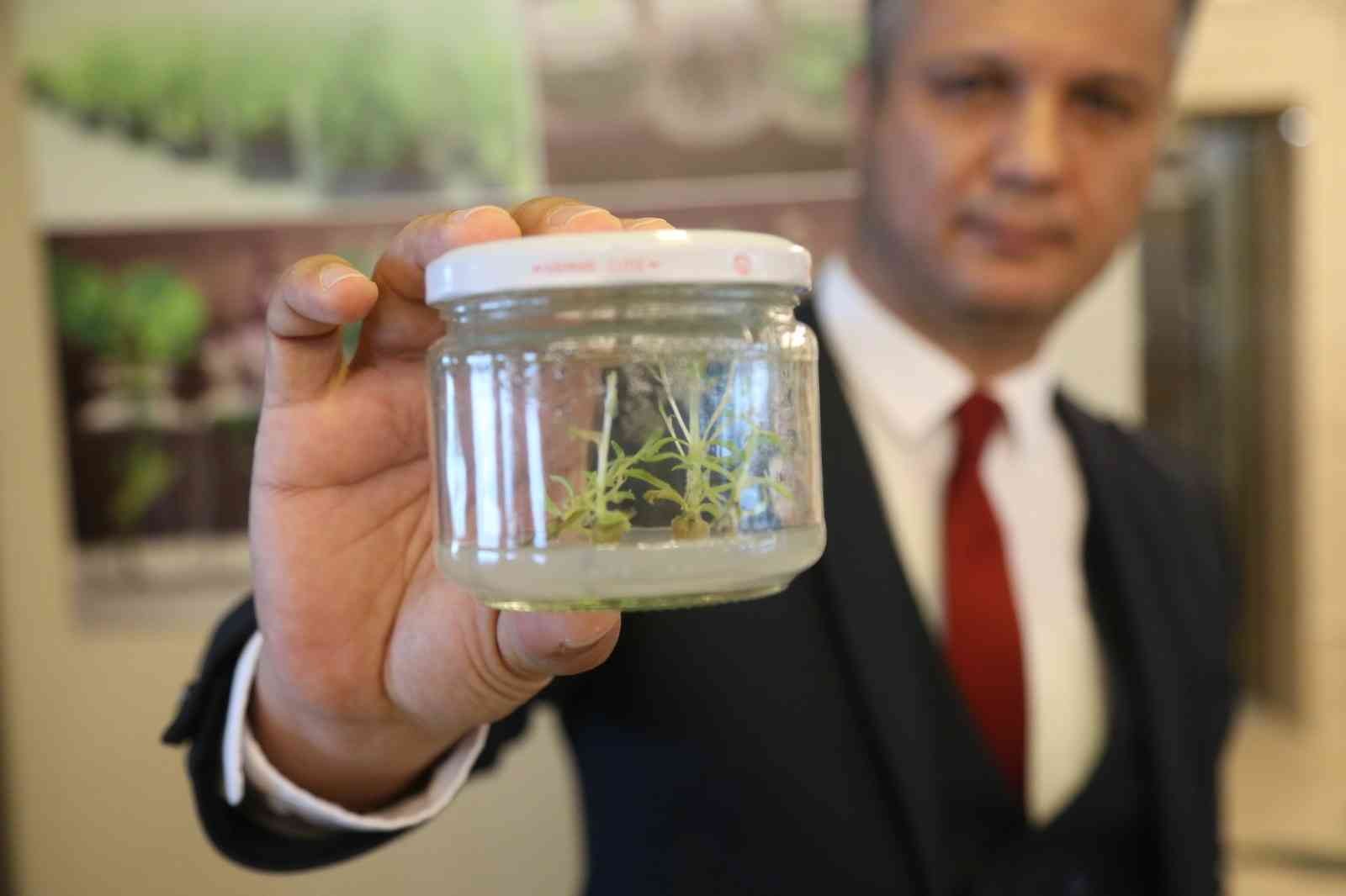 Tarımda çığır açan çalışma