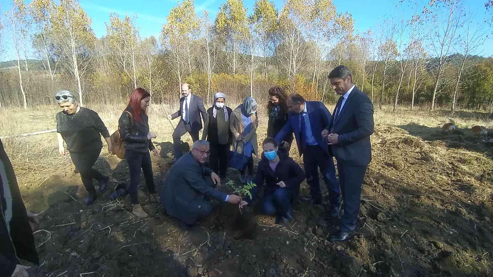 ‘Kara mürver’ toprakla buluştu