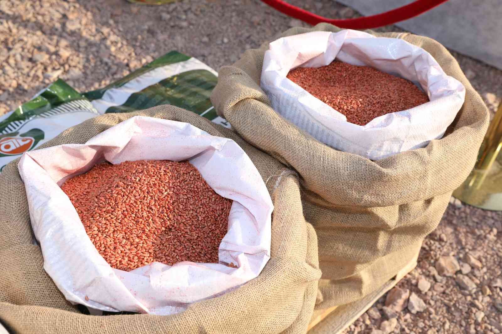 Büyükşehir’den selzede çiftçiye tohum desteği