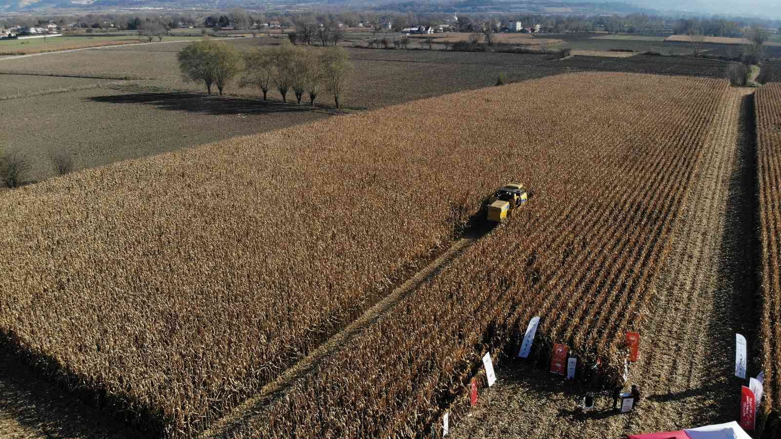 Mısır hasadı havadan görüntülendi
