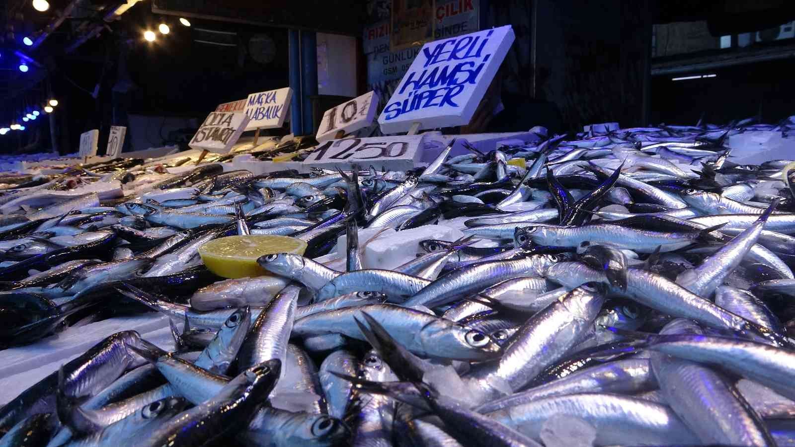 Hamsi vatandaşın da balıkçının da yüzünü güldürüyor