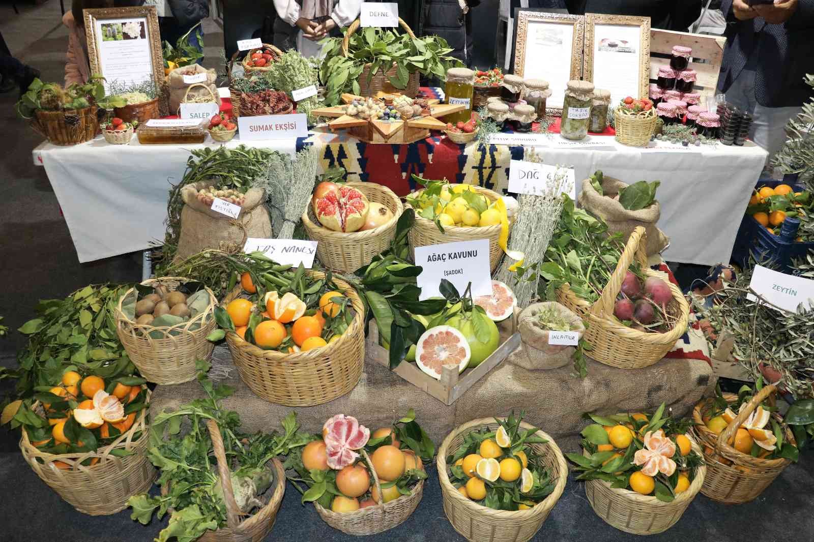 Kahramanmaraş Tarım Gıda ve Hayvancılık Fuarı açıldı
