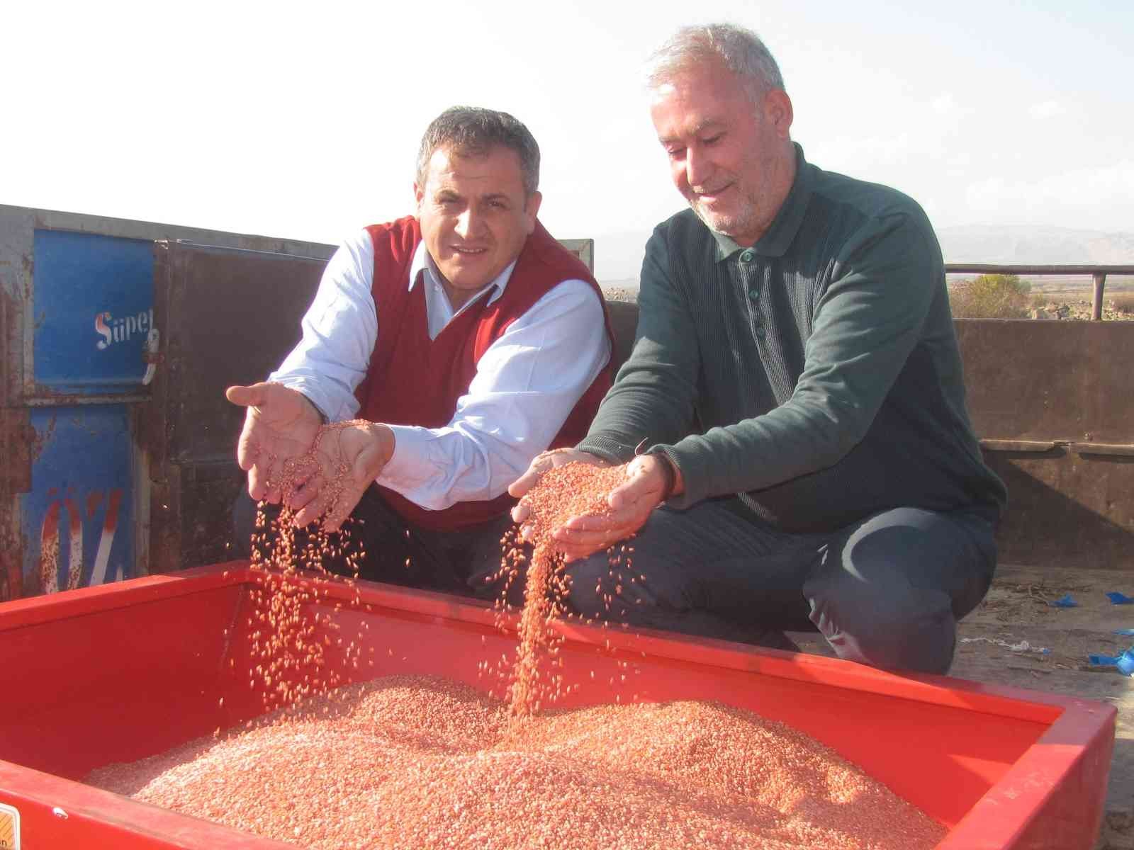 Araban Ovası’nda makarnalık buğday ekimine başlandı