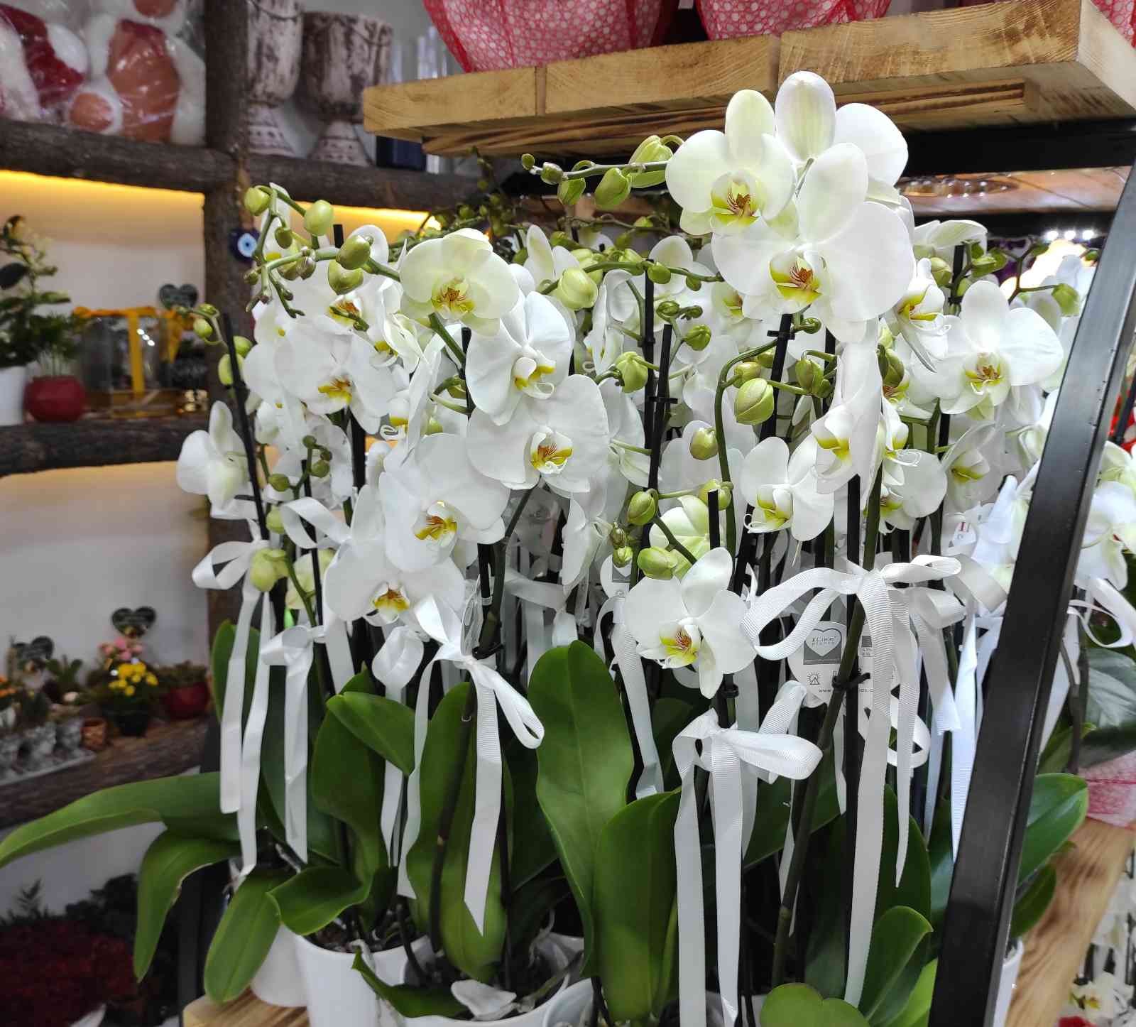 Çiçekçiler Öğretmenler Günü’ne hazır