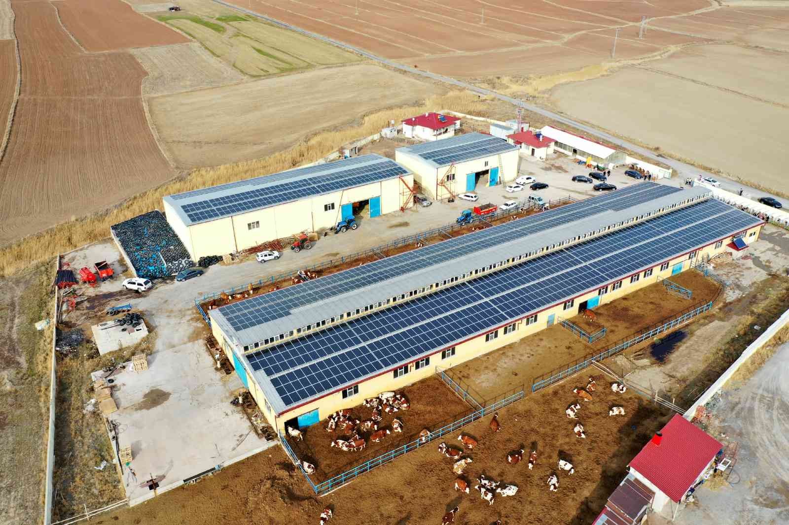 Bu çiftlikte bir yandan süt bir yandan enerji üretiliyor