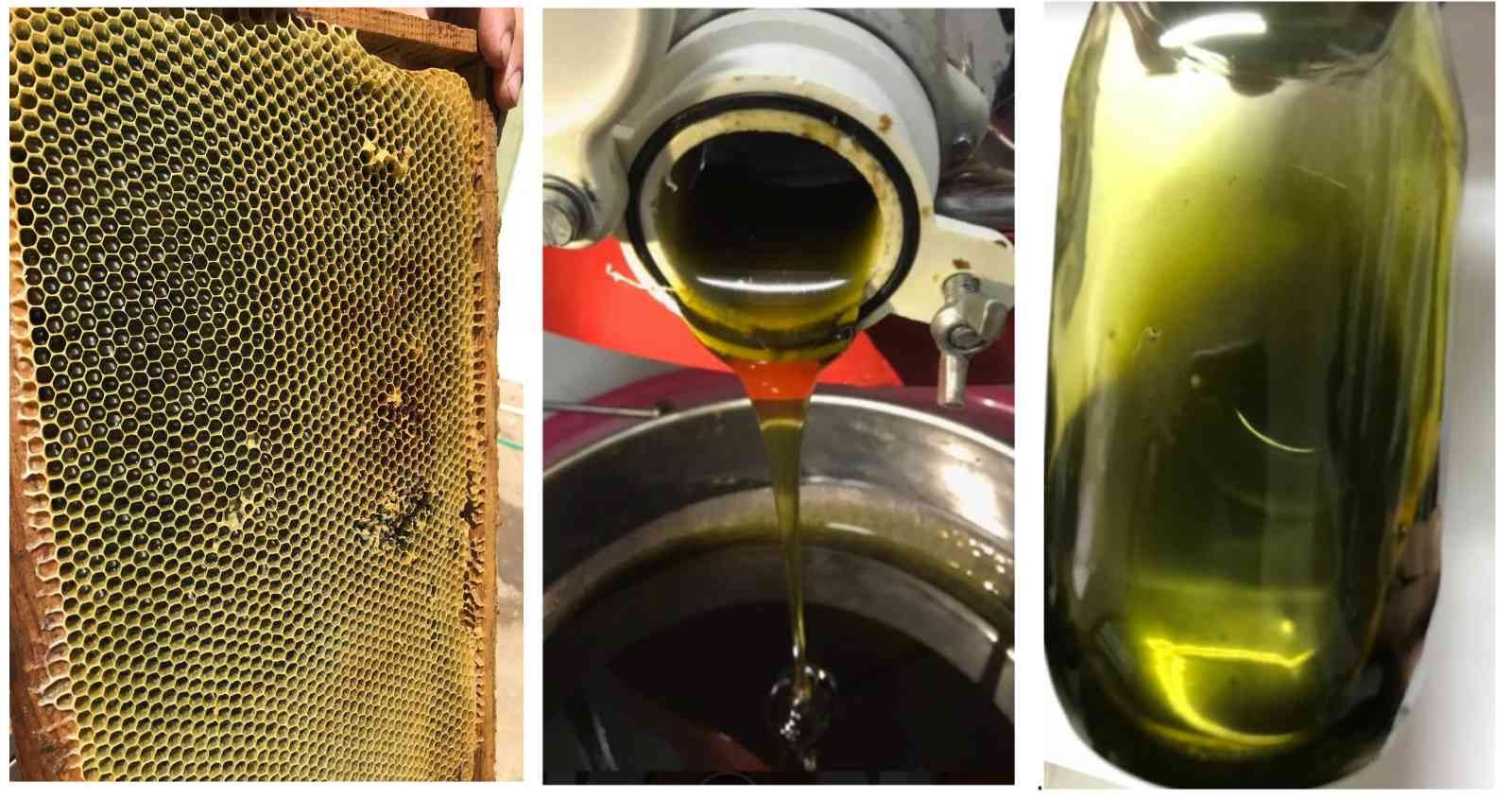 BUÜ’lü akademisyenler tamamen doğal arı yemi ve fonksiyonel bal üretti