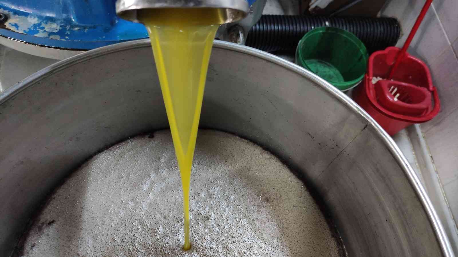 (Özel) Ağaçlar yandı, zeytin yağı 50 lirayı buldu