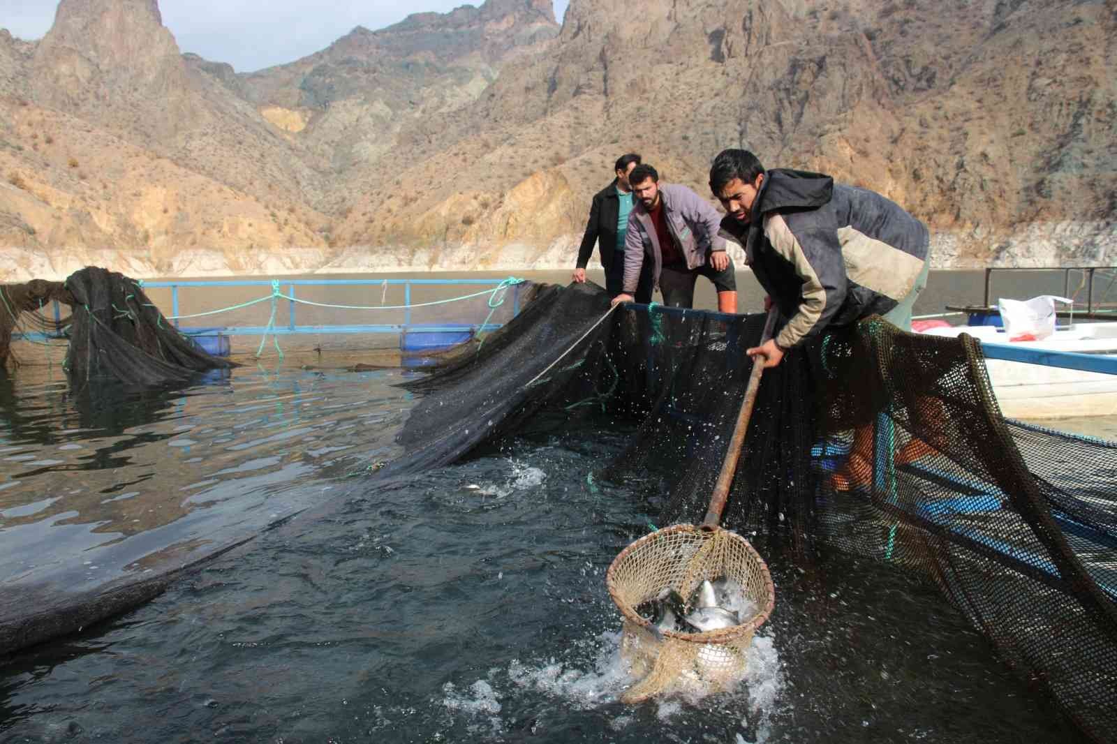 Somon balığı üretiminde Norveç’e rakip oldu