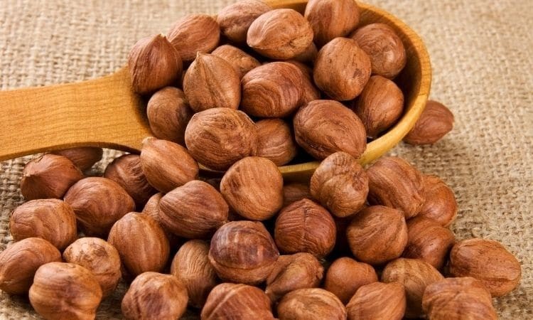 Fındık ihracatı geçen yıla göre arttı