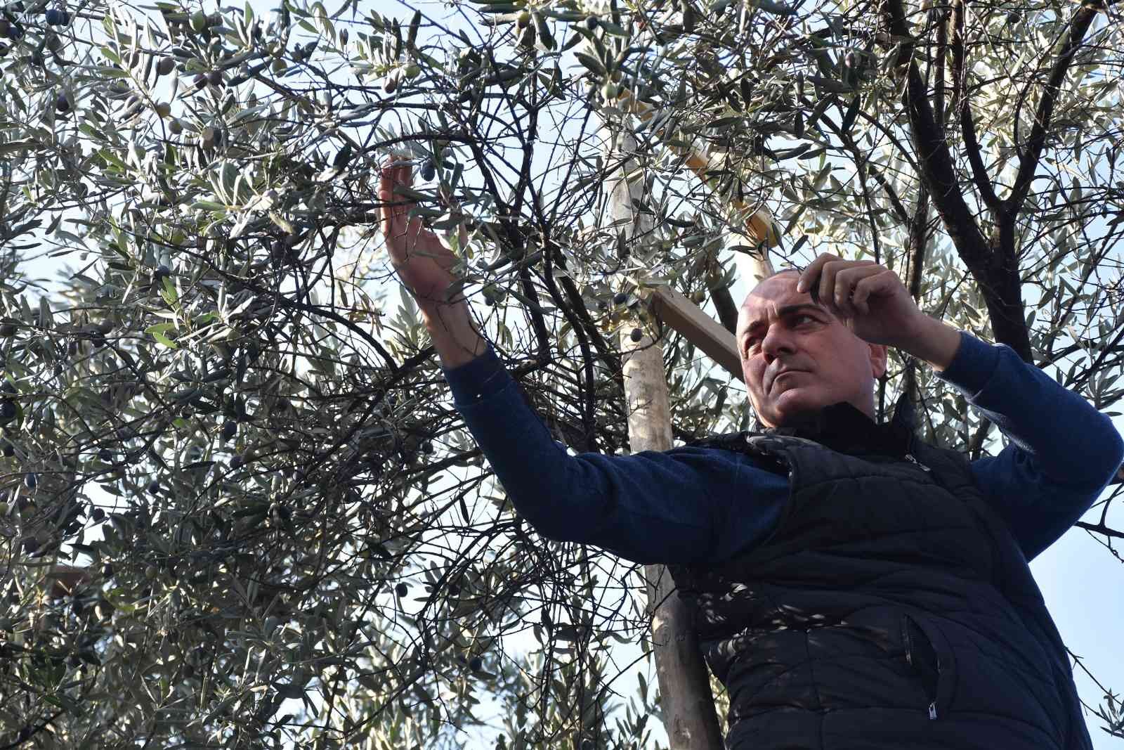 Sertaslan’dan Marmarabirlik’e fiyat güncellemesi çağrısı