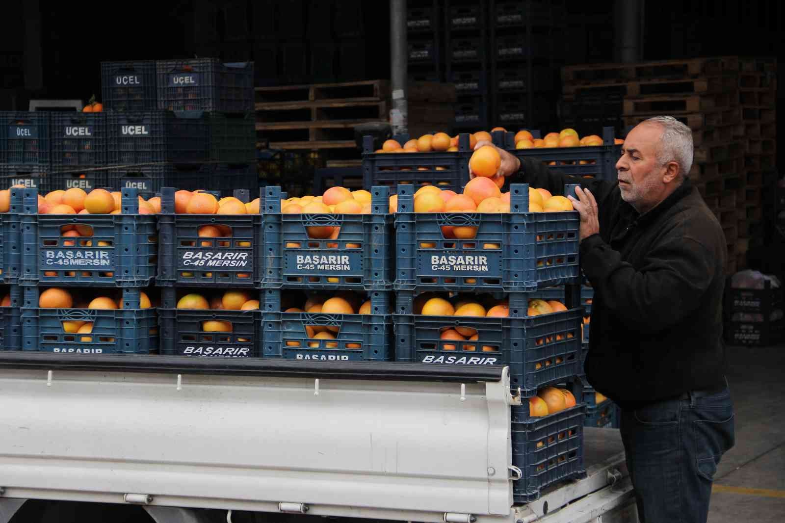 Şen: "Tarım sektörü, serbest piyasa ekonomisinin dışında planlanmalı"