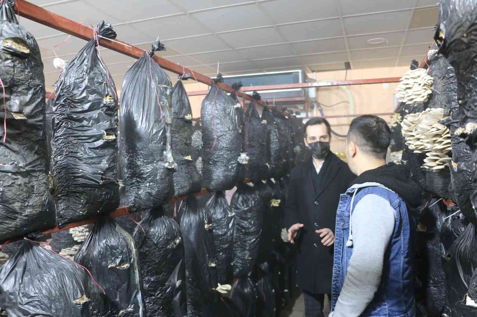 Atıl durumdaki prefabrik, çiftçiler için üretim merkezine çevrildi