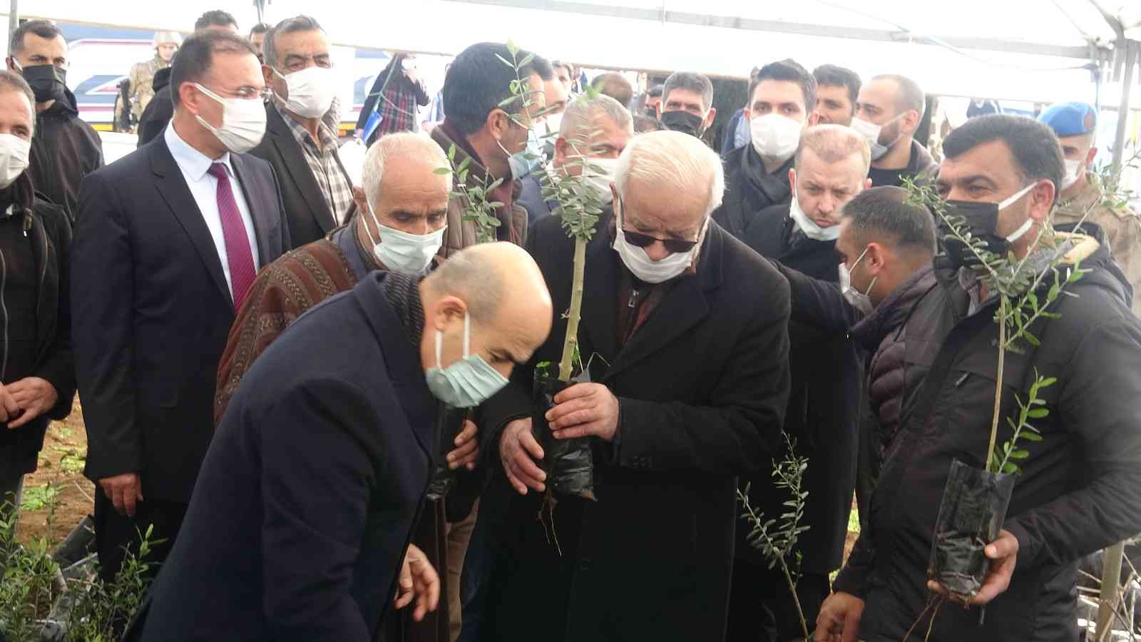 Mardin’de çiftçiye 750 bin fidan dağıtıldı