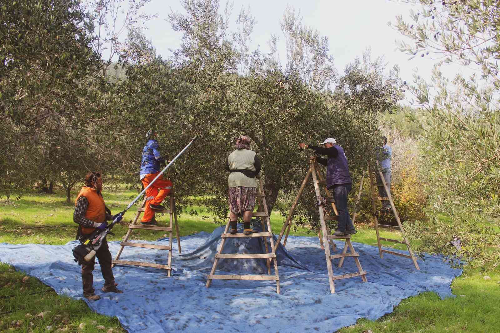 Coğrafi işaretli ürünlere talep hızla artıyor