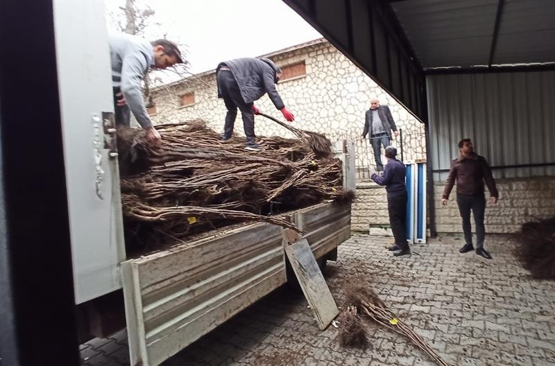 Kastamonu’da selzede çiftçilere fidan desteği