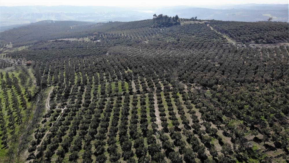 En güvenilir yatırım toprak