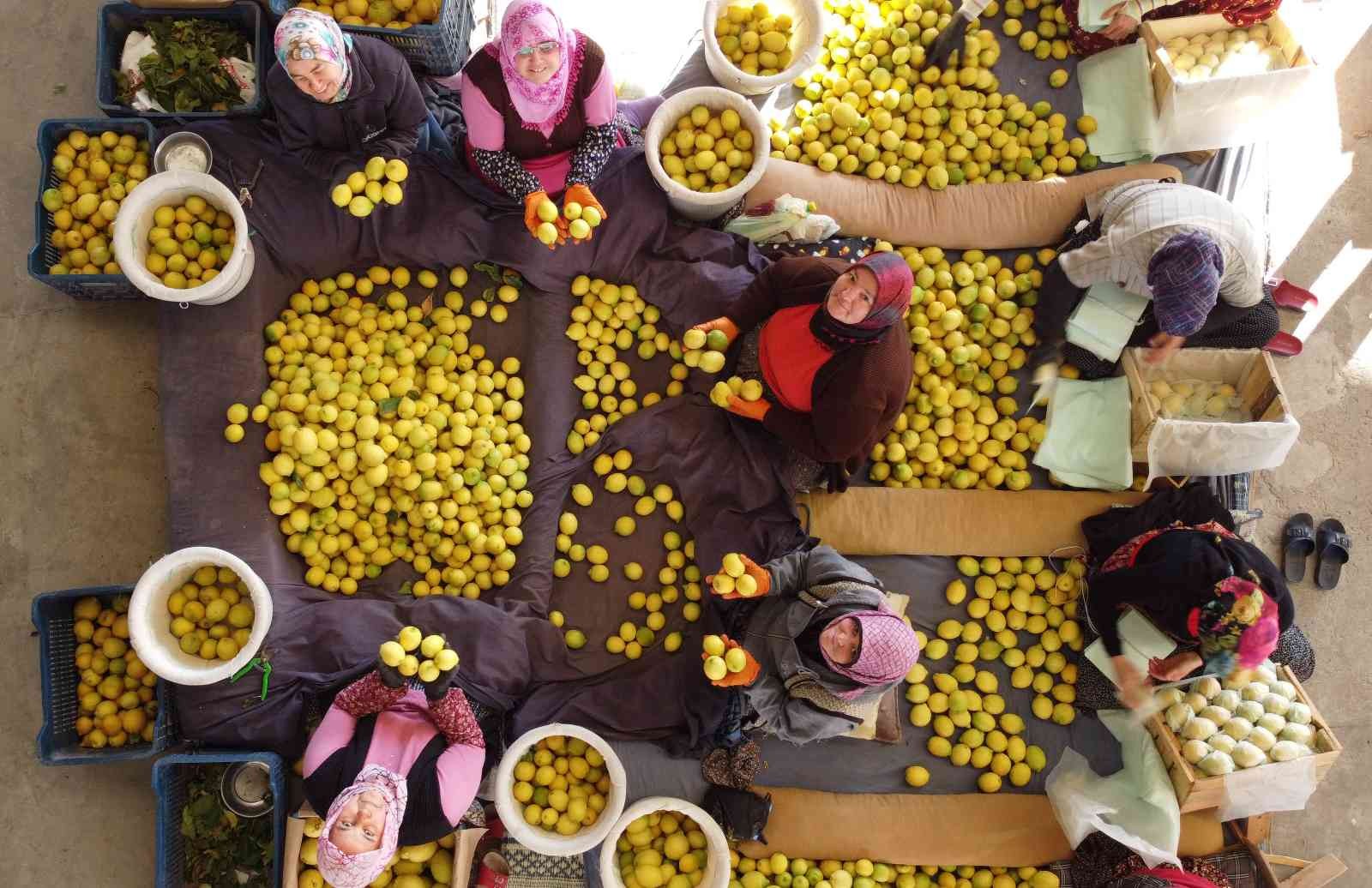 Her aşamasında onlar çalışıyor, kadınların elinden dünya pazarına