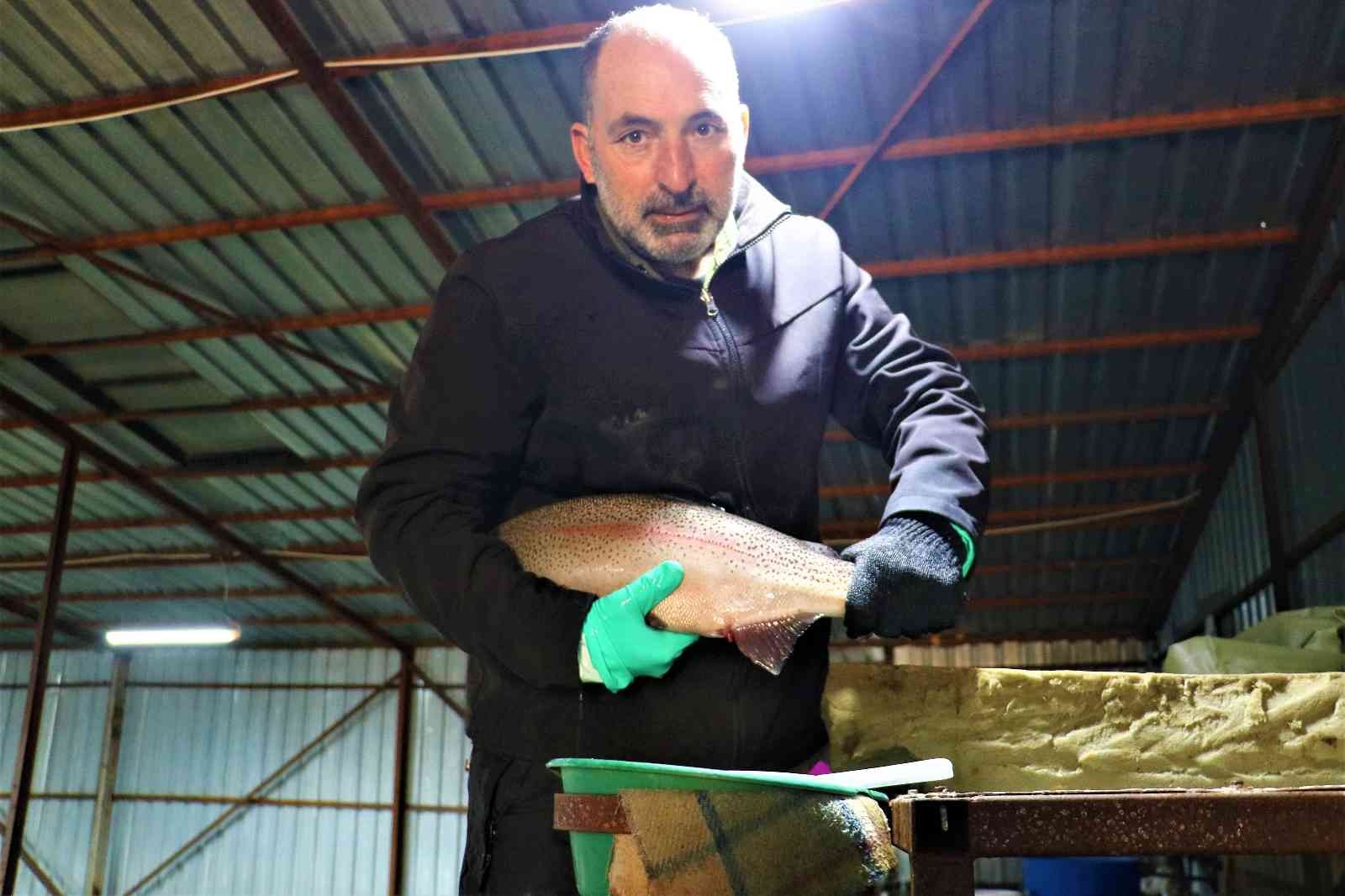 Sivas’tan Avrupa’ya balık ihraç ediliyordu, üretim azaldı