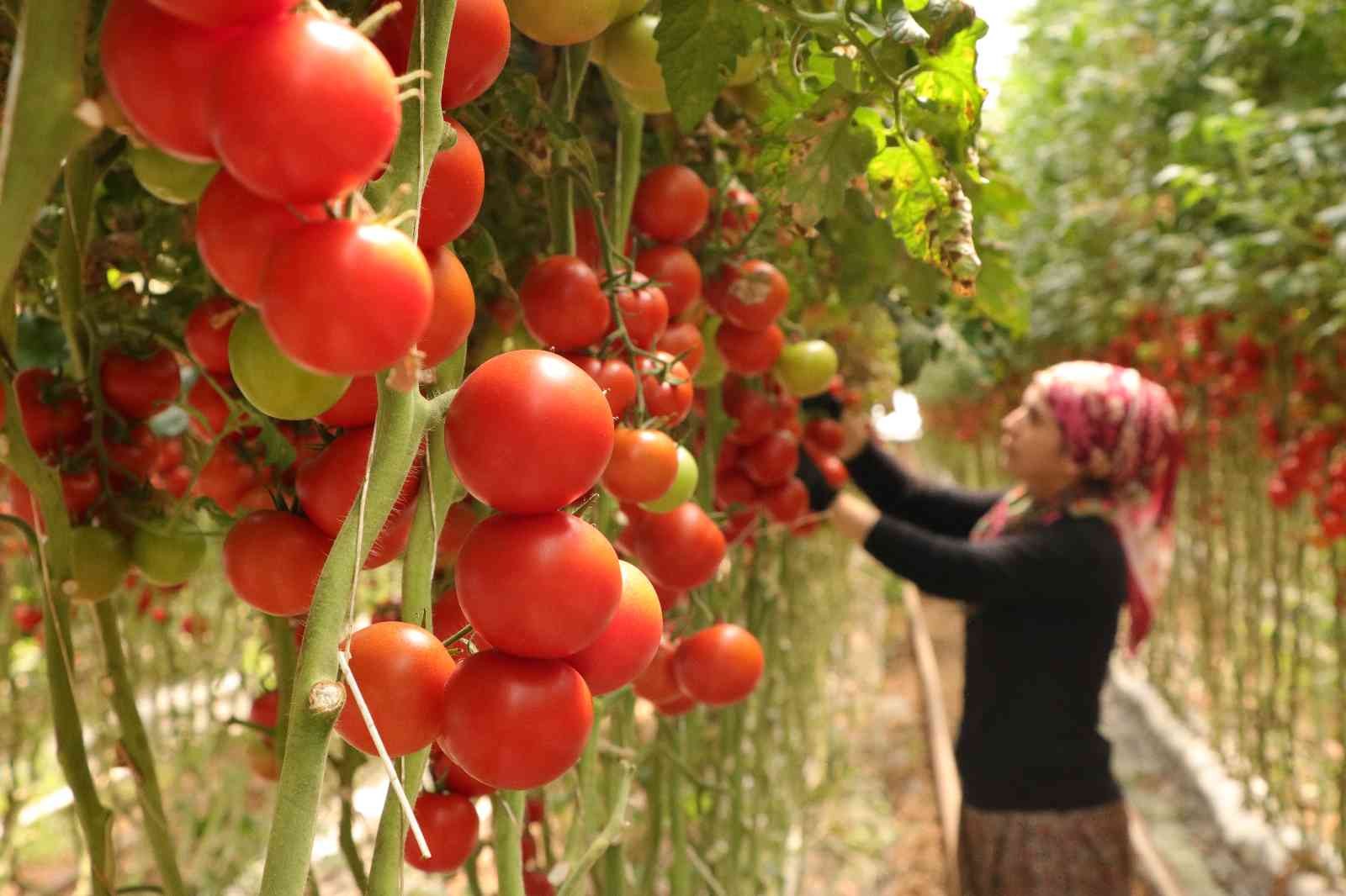 Burdur’da yayla seracılığında Türkiye birinciliği hedefi