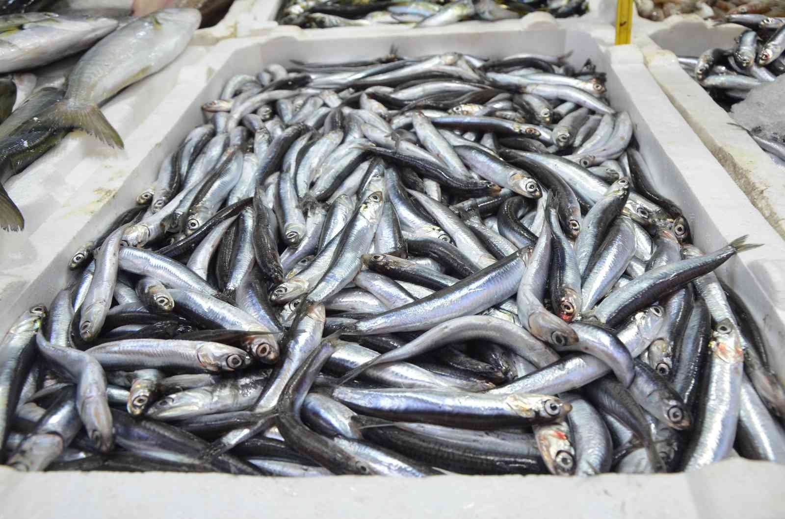 Yerli hamsi kendini tezgahlarda pahalı gösterdi: Kilosu 50 lira