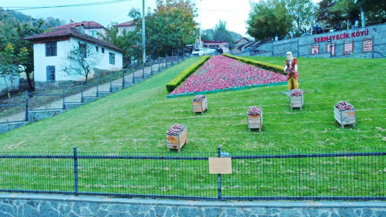 Elit mekanların gözde çileği bu yıl 550 ton üretildi