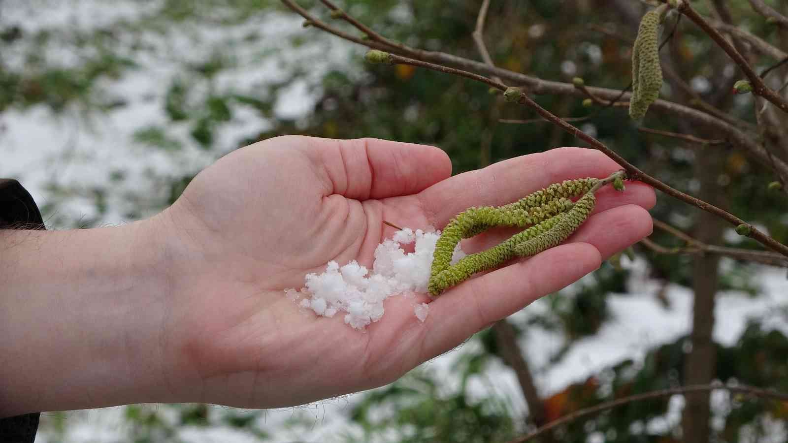 Soydan: “Bölgedeki kar yağışı fındık açısından oldukça faydalı”