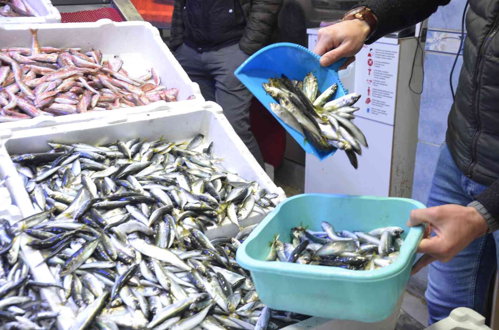 Karadeniz’de hamsi bereketi