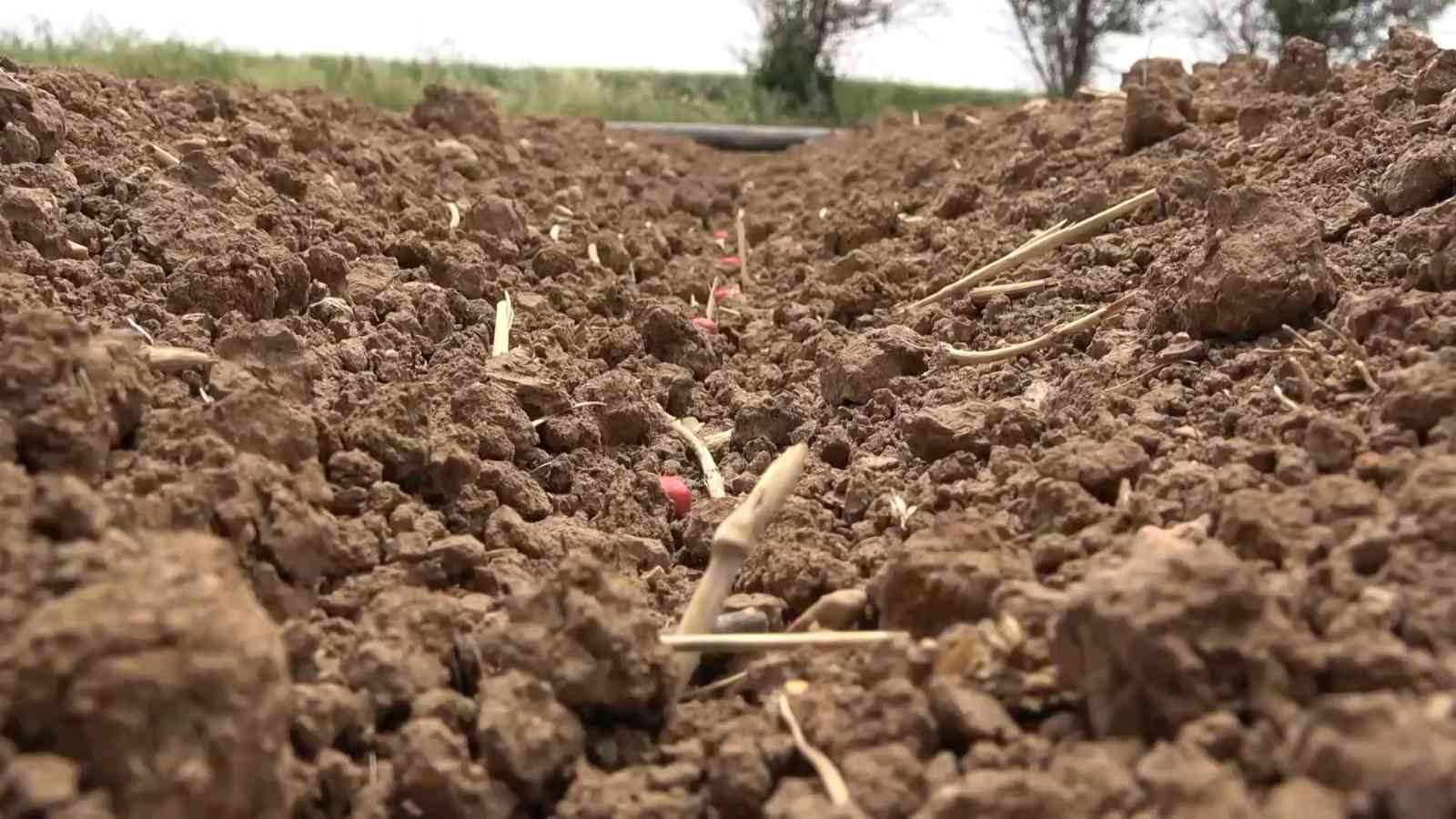 Kar yağışı hasat beklentisini yükseltti