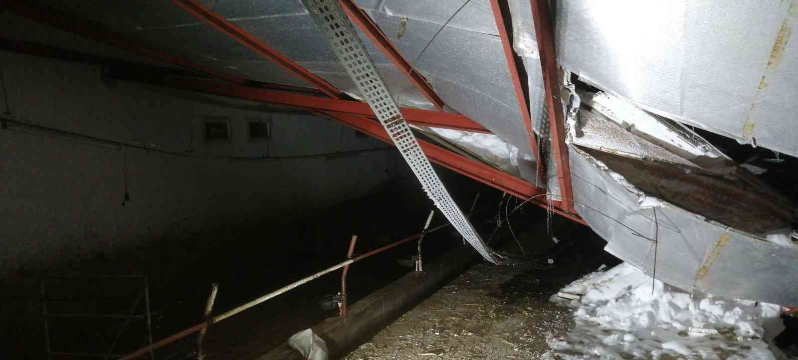 TARSİM: “Üreticilere 92 milyon TL hasar ödemesi yapılacak”