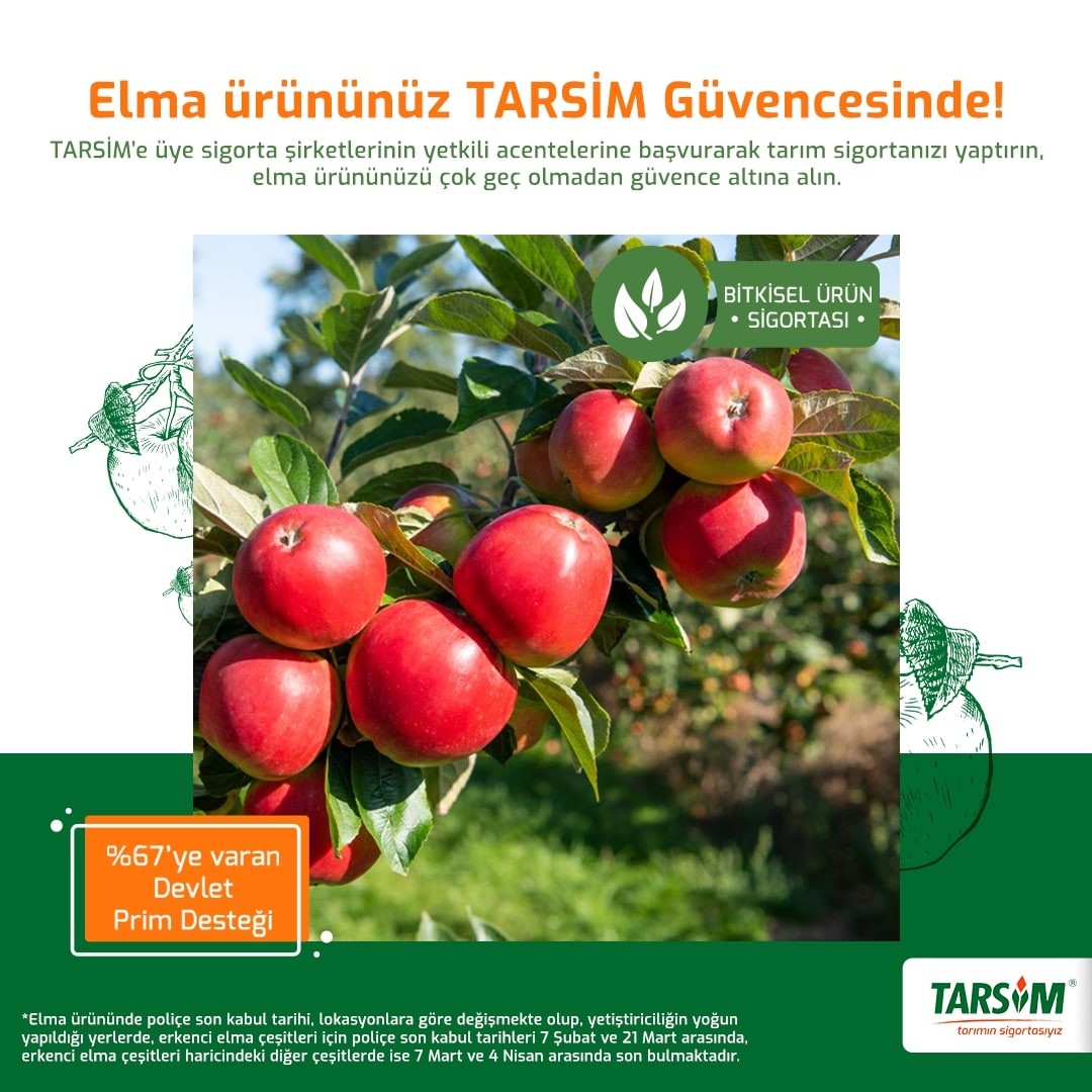 TARSİM: ’’Elma ürününüz TARSİM güvencesinde’’