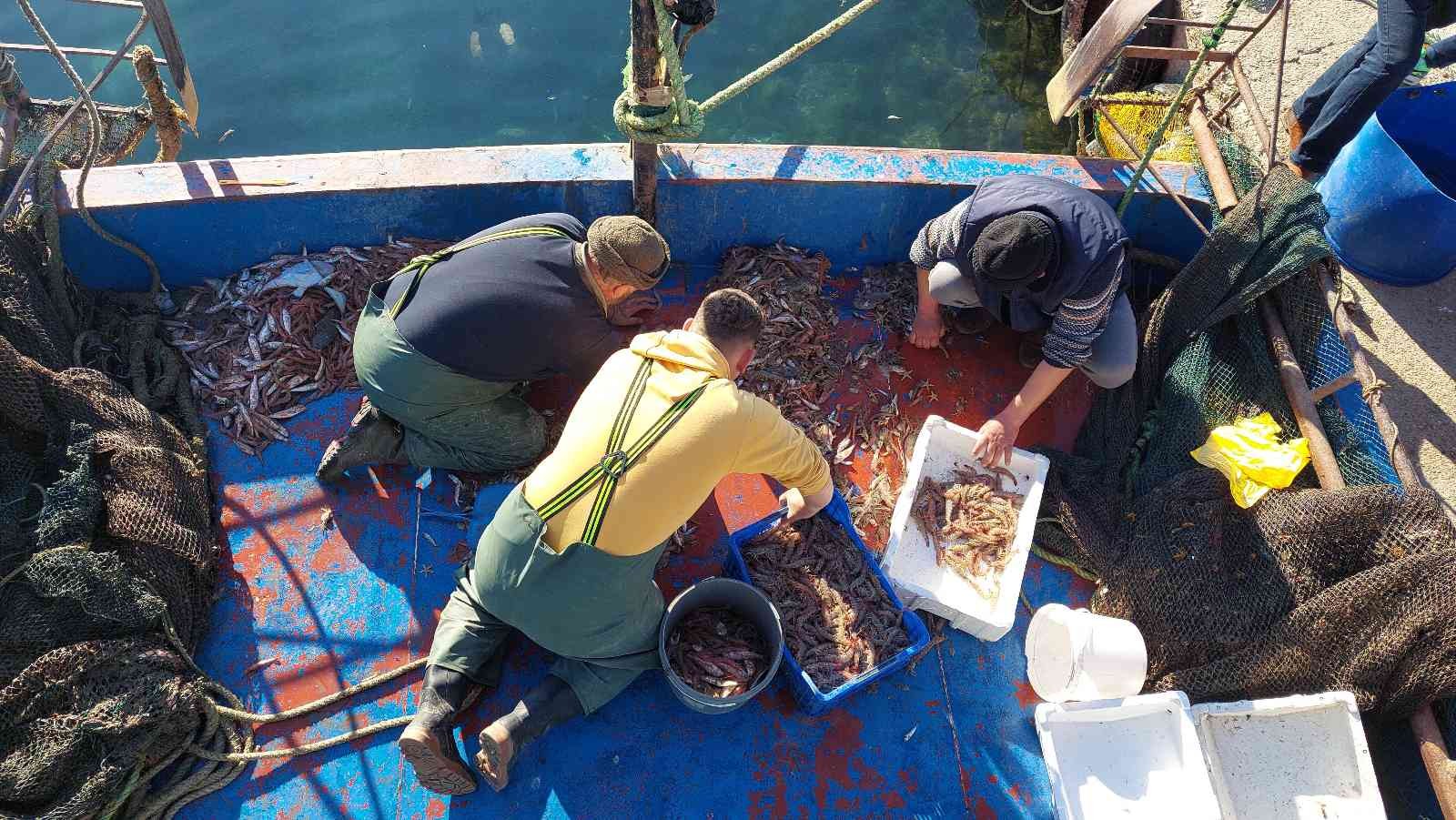 Marmara’da kıyı balıkçılarının umudu karides