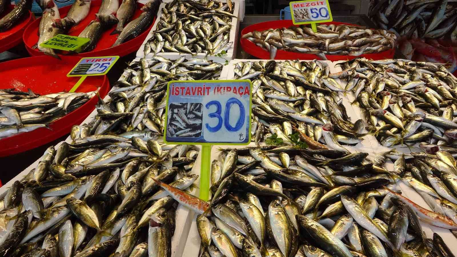 Hamsi bu defa üzdü