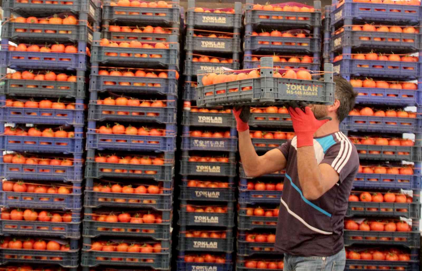 Antalya’da ısınan hava üretimi arttırdı fiyatlar düşmeye başladı