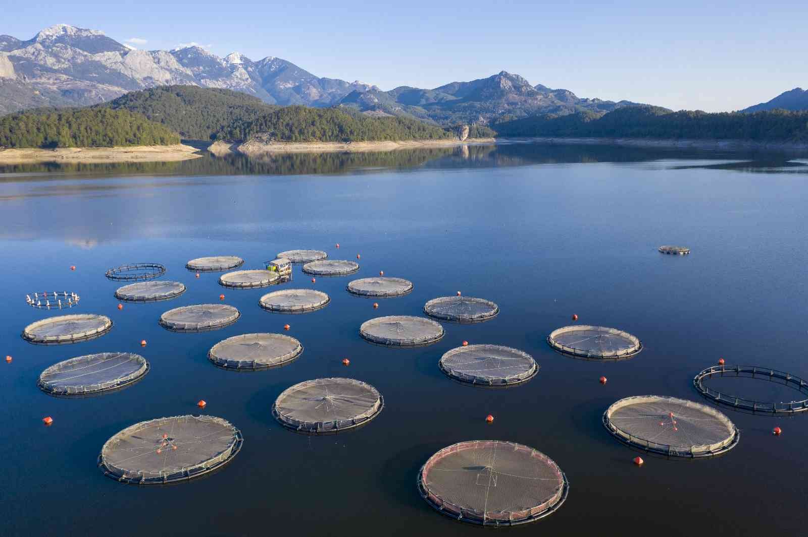 TARSİM: "Su ürünleriniz, kafes ve ağlarınız TARSİM güvencesinde"
