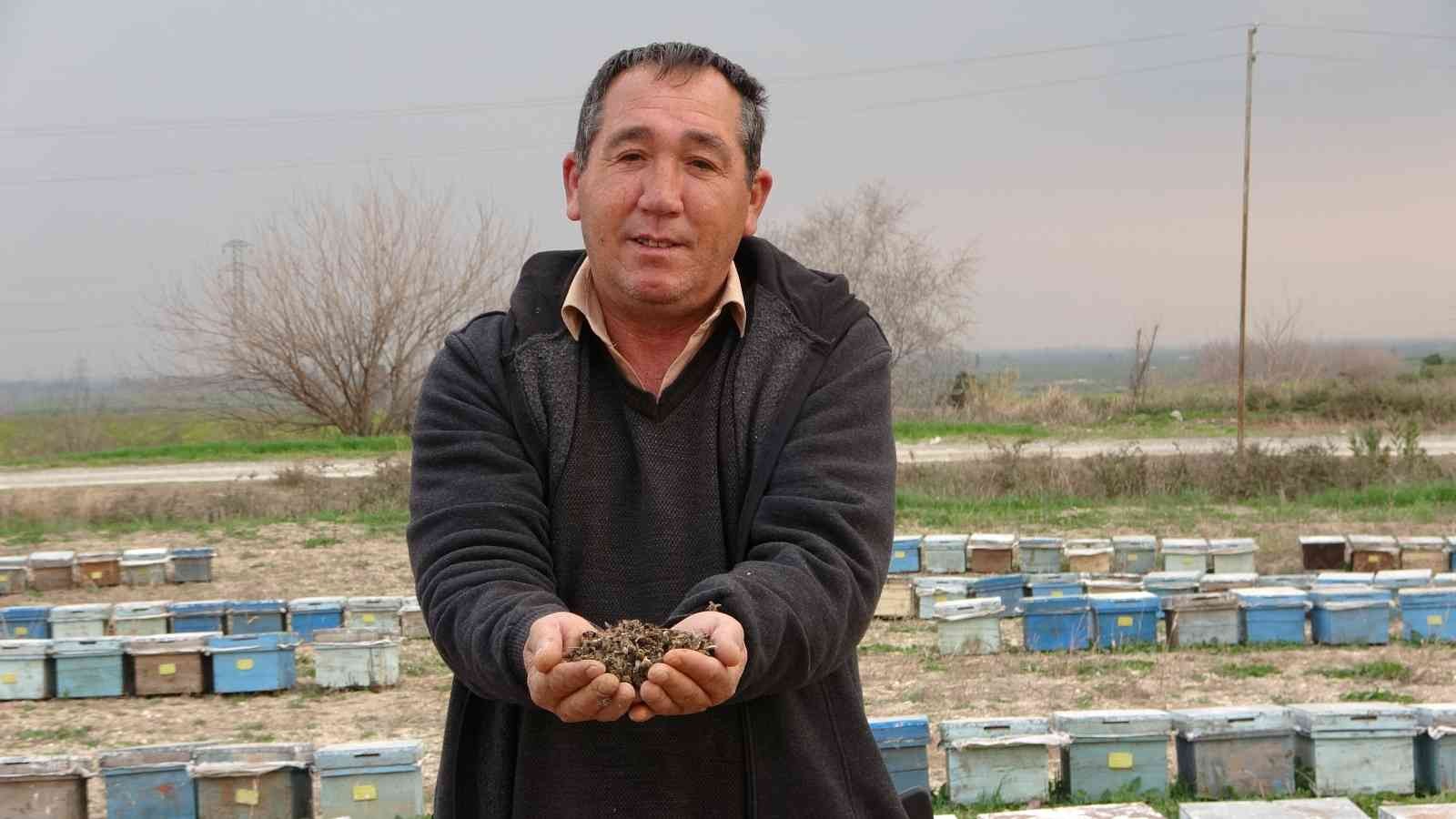 Adana’da binlerce arı telef oldu