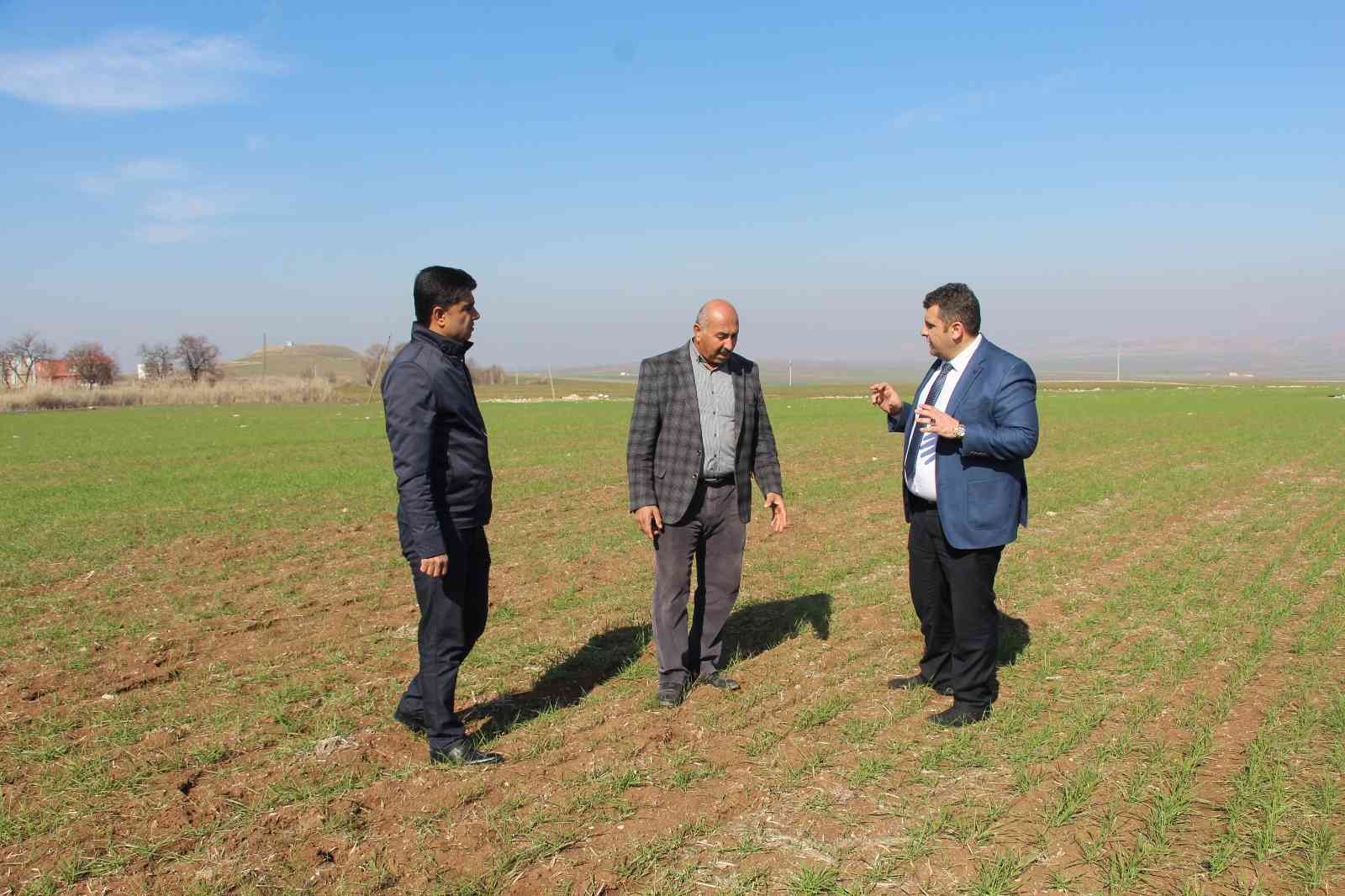 Yağışlar çiftçiyi umutlandırdı, hububat fiyatlarında düşüş bekleniyor